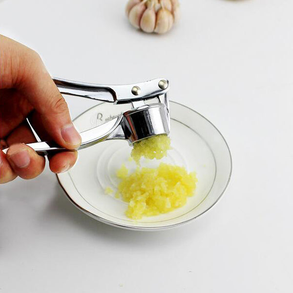 Stainless Steel Kitchen Squeezer